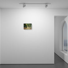 Load image into Gallery viewer, The Avenue