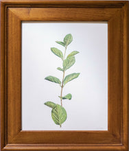 Load image into Gallery viewer, Spring Leaves II
