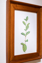 Load image into Gallery viewer, Spring Leaves II