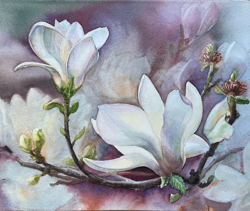Magnolia
