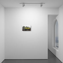 Load image into Gallery viewer, Look Up To