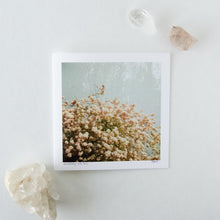 Load image into Gallery viewer, Dichotomy