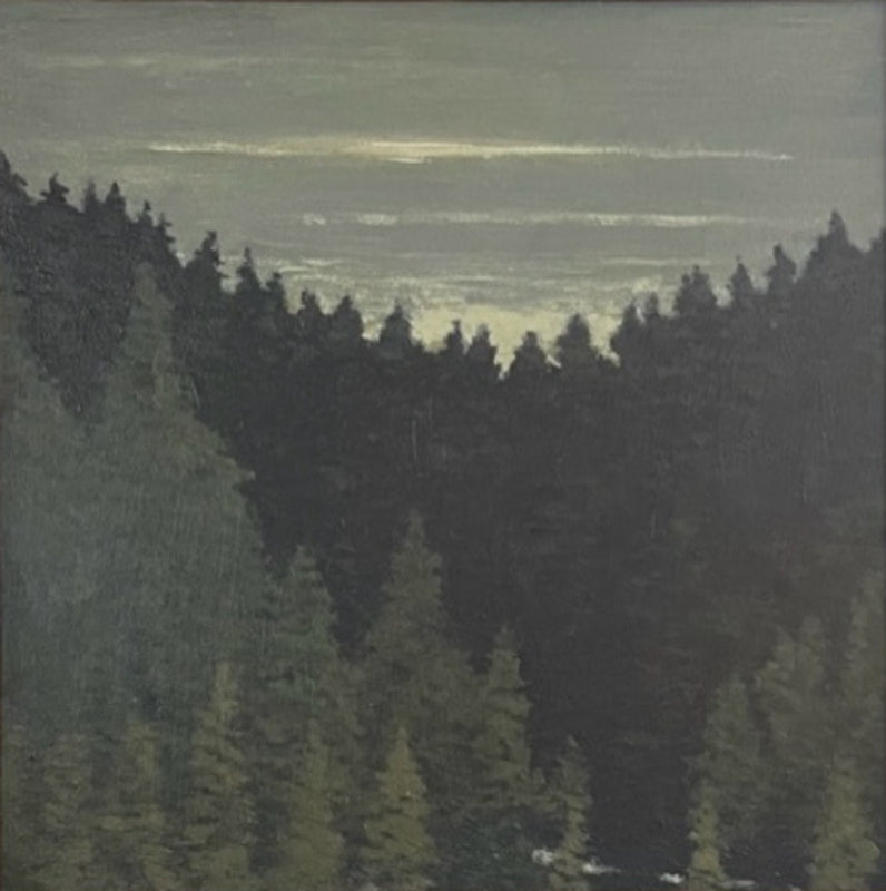 Gallatin River Canyon 2