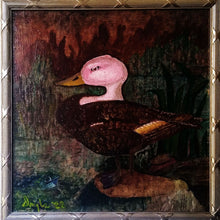 Load image into Gallery viewer, Pink Headed Duck