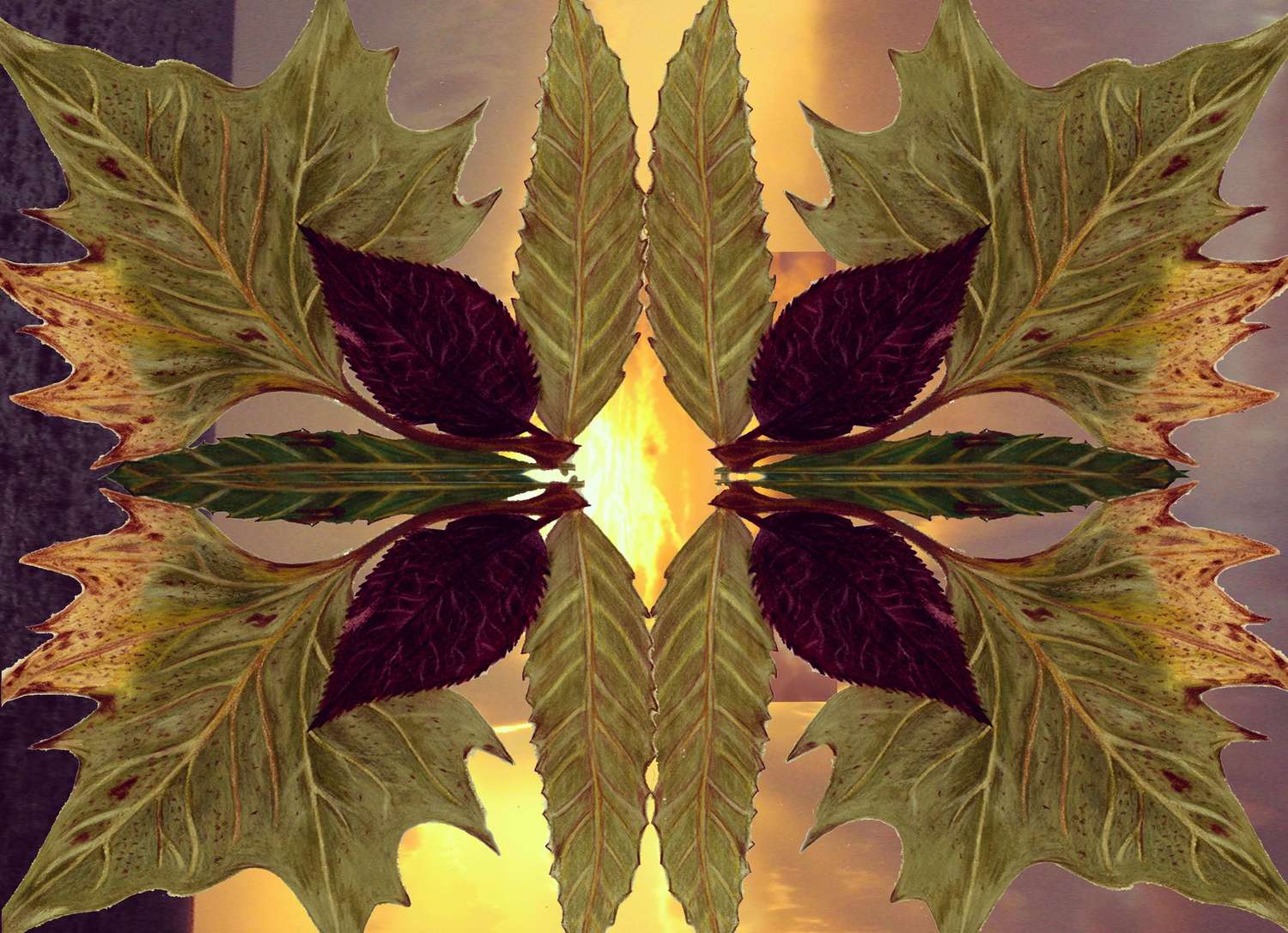 Featured Artwork