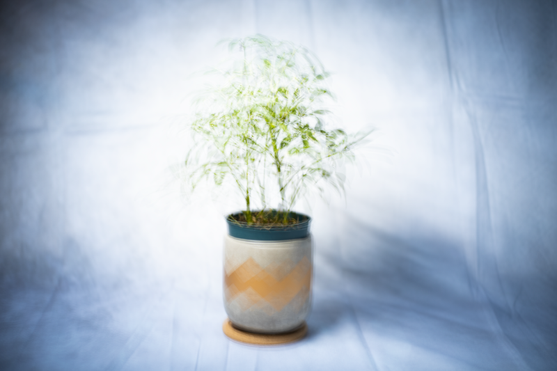 Floral Impressions 4