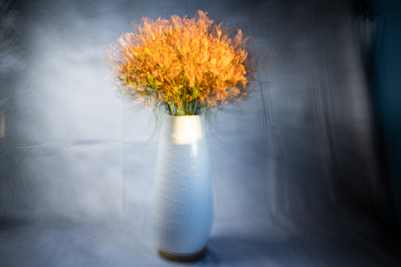 Floral Impressions 2