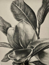 Load image into Gallery viewer, Like a shadow covering parts of my heart, how can I explain