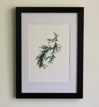 Load image into Gallery viewer, Sargassum IV (Systems' Garden series)