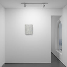 Load image into Gallery viewer, The Light of Consciousness