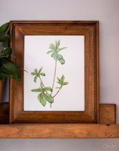 Load image into Gallery viewer, Spring Leaves I