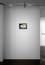 Load image into Gallery viewer, Bejeweled