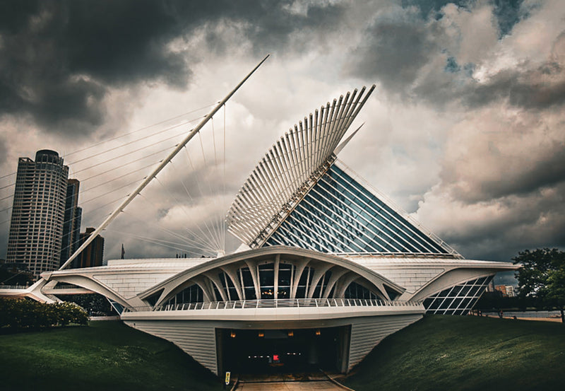 Beauty through the storm