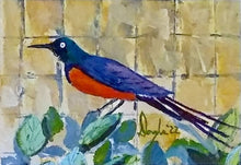 Load image into Gallery viewer, Golden Breasted Starling