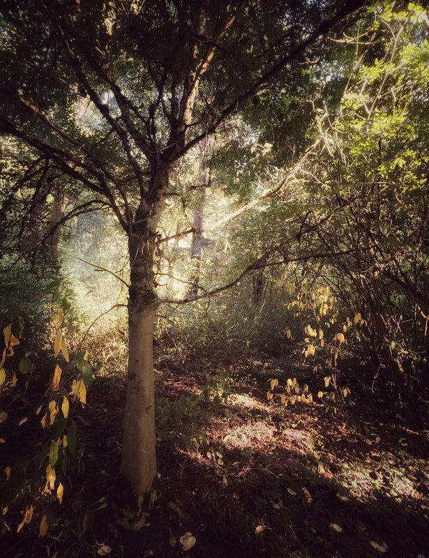 I found a quiet place