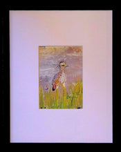 Load image into Gallery viewer, Spotted Dikkop