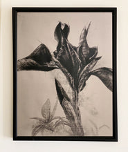 Load image into Gallery viewer, Warm air's gentle flow, contours of silk hugging curves