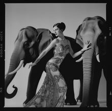 Load image into Gallery viewer, "Dovima with Elephants"