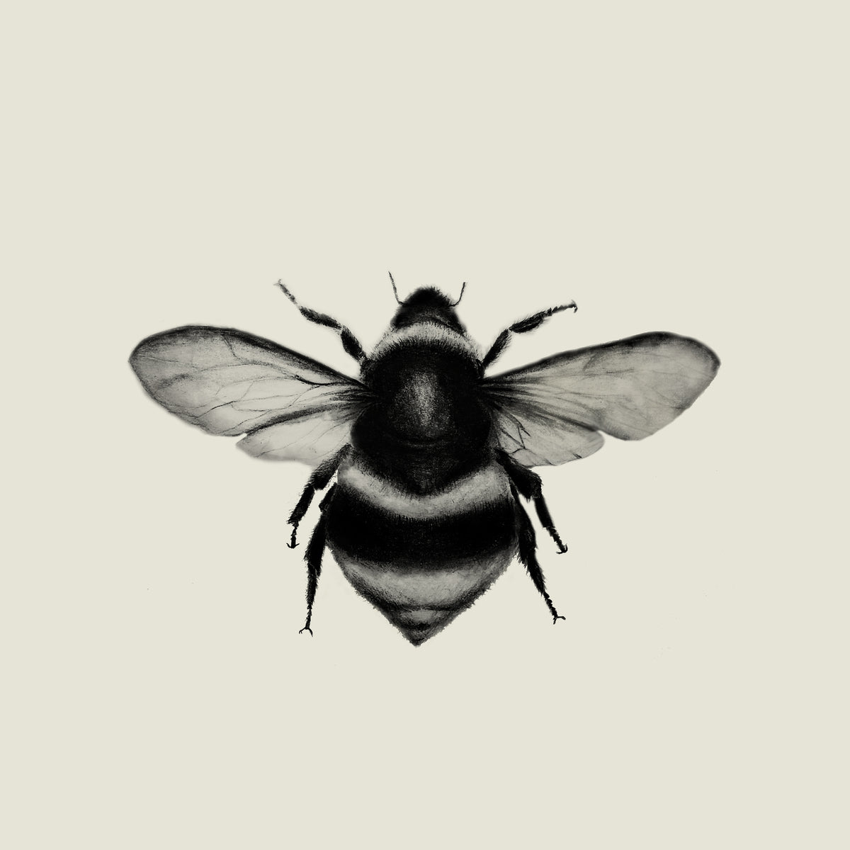Featured Artwork