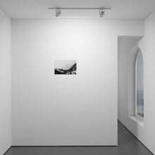 Load image into Gallery viewer, Into the Fog