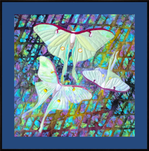 Load image into Gallery viewer, Luna Moth