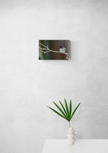 Load image into Gallery viewer, Hummingbird with Snowflake Fascinator