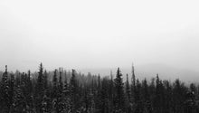 Load image into Gallery viewer, Treeline