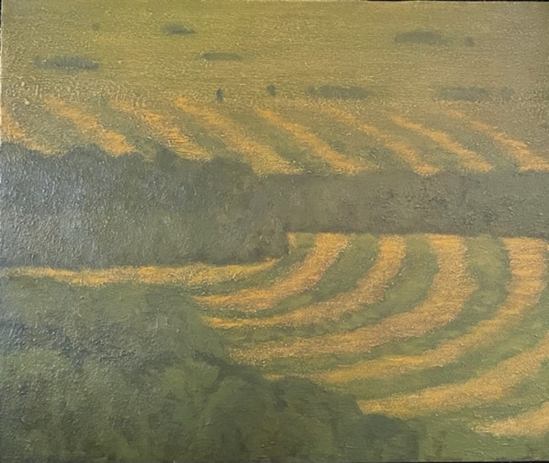 Summer Hayfields
