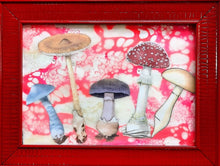 Load image into Gallery viewer, Hey, What's Up, Red?