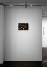 Load image into Gallery viewer, Fall Colors