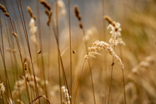 Load image into Gallery viewer, Winding Down