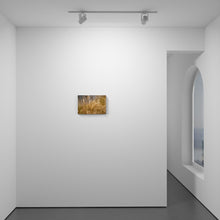 Load image into Gallery viewer, Winding Down