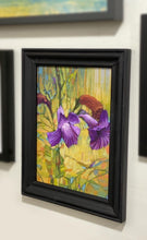 Load image into Gallery viewer, A little purple purple flower standing in the grass enjoying the breeze