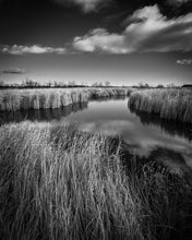 Load image into Gallery viewer, Secluded