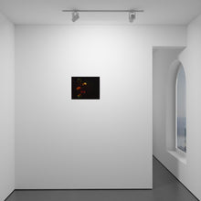 Load image into Gallery viewer, Cotton Collage