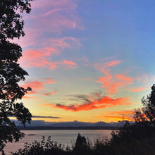 Load image into Gallery viewer, Life in Technicolor