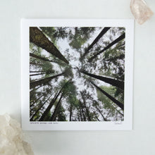 Load image into Gallery viewer, Ancient Beings