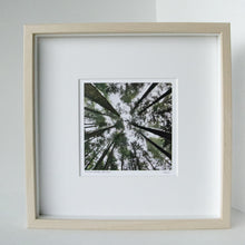 Load image into Gallery viewer, Ancient Beings