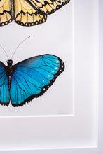 Load image into Gallery viewer, Butterfly Garden I