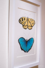 Load image into Gallery viewer, Butterfly Garden I