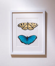 Load image into Gallery viewer, Butterfly Garden I