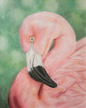 Load image into Gallery viewer, Blushing