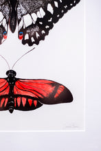 Load image into Gallery viewer, Butterfly Garden II