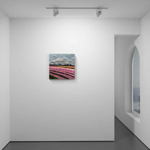Load image into Gallery viewer, Tulip Season