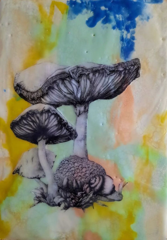 Contemporary Frenchly