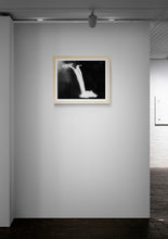 Load image into Gallery viewer, Waterfall