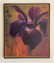 Load image into Gallery viewer, Royall robes and gorgeous array, In bright blazing beautie did assay