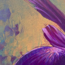 Load image into Gallery viewer, Royall robes and gorgeous array, In bright blazing beautie did assay