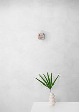 Load image into Gallery viewer, Genesis