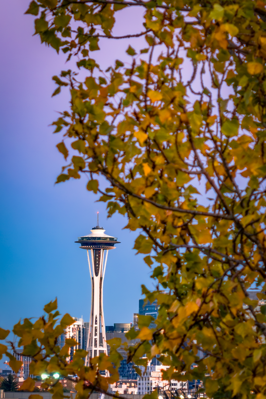 Fall Time in Seattle